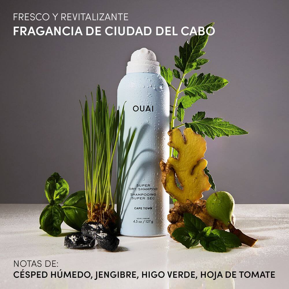 SUPER DRY SHAMPOO (SHAMPOO EN SECO)